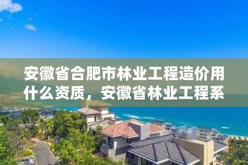 安徽省合肥市林业工程造价用什么资质，安徽省林业工程系列技术资格评审标准条件