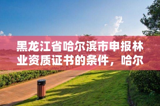 黑龙江省哈尔滨市申报林业资质证书的条件，哈尔滨林业厅地址