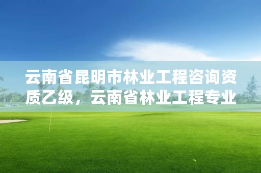 云南省昆明市林业工程咨询资质乙级，云南省林业工程专业技术资格评审条件