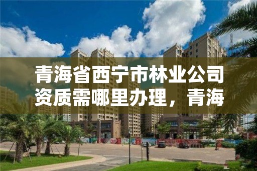 青海省西宁市林业公司资质需哪里办理，青海省西宁市林业公司资质需哪里办理的