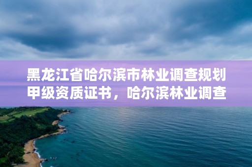 黑龙江省哈尔滨市林业调查规划甲级资质证书，哈尔滨林业调查规划有限公司