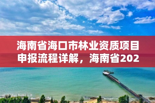 海南省海口市林业资质项目申报流程详解，海南省2020年林业改革发展资金用途