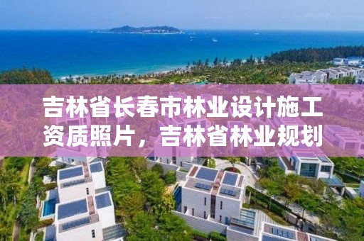 吉林省长春市林业设计施工资质照片，吉林省林业规划设计院