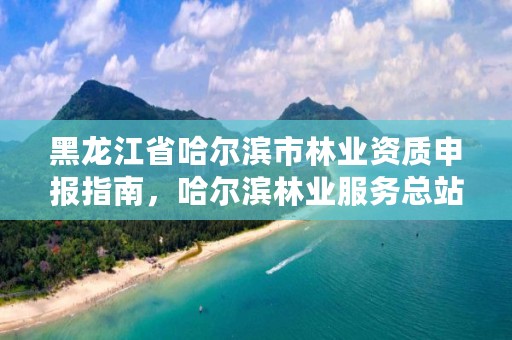 黑龙江省哈尔滨市林业资质申报指南，哈尔滨林业服务总站