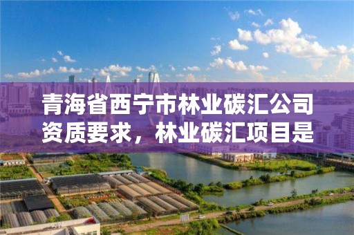 青海省西宁市林业碳汇公司资质要求，林业碳汇项目是怎样设骗局的