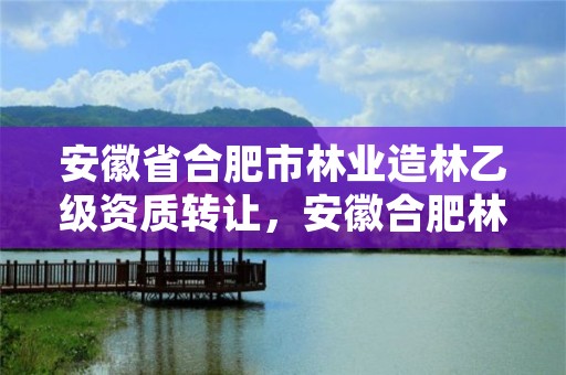 安徽省合肥市林业造林乙级资质转让，安徽合肥林业局