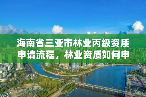 海南省三亚市林业丙级资质申请流程，林业资质如何申请办理