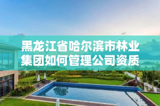 黑龙江省哈尔滨市林业集团如何管理公司资质，哈尔滨林业部门电话