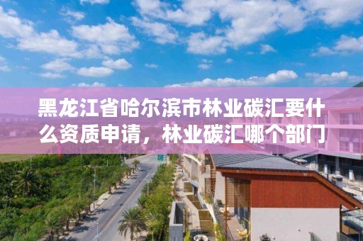 黑龙江省哈尔滨市林业碳汇要什么资质申请，林业碳汇哪个部门审批