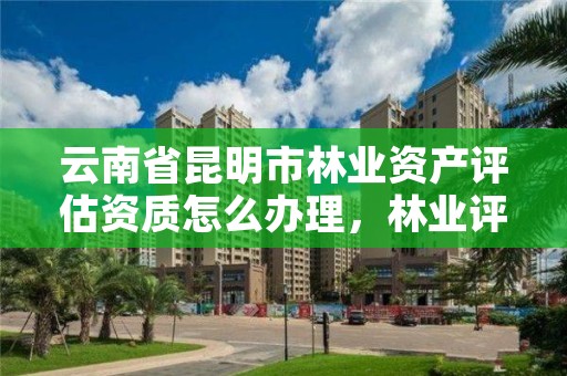 云南省昆明市林业资产评估资质怎么办理，林业评估公司资质