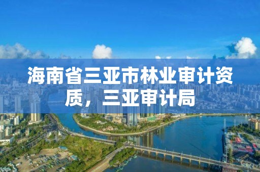 海南省三亚市林业审计资质，三亚审计局