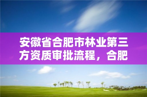 安徽省合肥市林业第三方资质审批流程，合肥林业厅