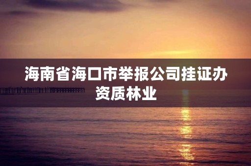 海南省海口市举报公司挂证办资质林业