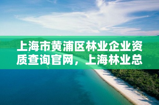 上海市黄浦区林业企业资质查询官网，上海林业总局