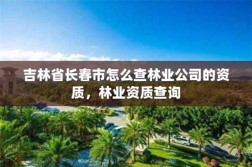 吉林省长春市怎么查林业公司的资质，林业资质查询