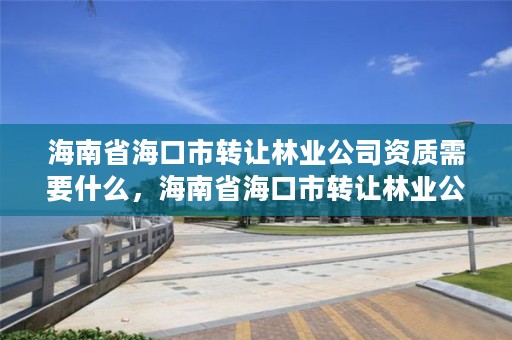 海南省海口市转让林业公司资质需要什么，海南省海口市转让林业公司资质需要什么手续