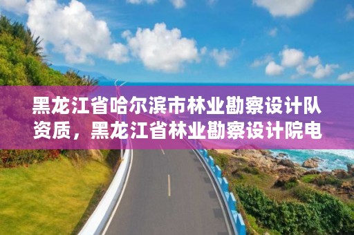 黑龙江省哈尔滨市林业勘察设计队资质，黑龙江省林业勘察设计院电话