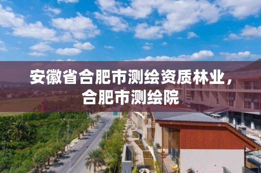 安徽省合肥市测绘资质林业，合肥市测绘院