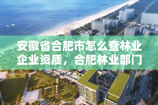 安徽省合肥市怎么查林业企业资质，合肥林业部门