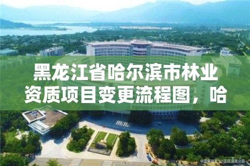 黑龙江省哈尔滨市林业资质项目变更流程图，哈尔滨林业局管辖范围