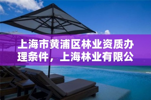 上海市黄浦区林业资质办理条件，上海林业有限公司