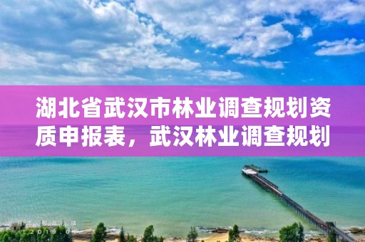 湖北省武汉市林业调查规划资质申报表，武汉林业调查规划设计院