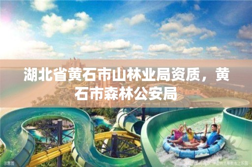 湖北省黄石市山林业局资质，黄石市森林公安局