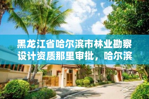 黑龙江省哈尔滨市林业勘察设计资质那里审批，哈尔滨市林业设计院