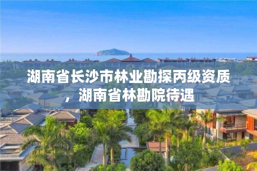 湖南省长沙市林业勘探丙级资质，湖南省林勘院待遇