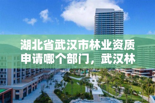 湖北省武汉市林业资质申请哪个部门，武汉林业公司有哪些