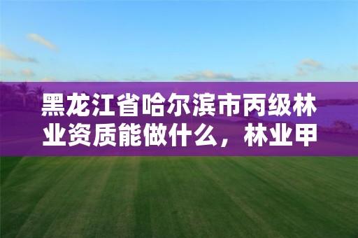 黑龙江省哈尔滨市丙级林业资质能做什么，林业甲级资质