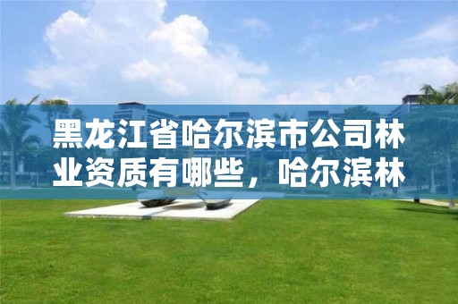 黑龙江省哈尔滨市公司林业资质有哪些，哈尔滨林业局管辖范围