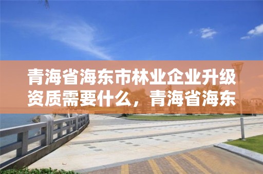 青海省海东市林业企业升级资质需要什么，青海省海东市林业企业升级资质需要什么手续