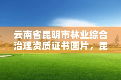 云南省昆明市林业综合治理资质证书图片，昆明林业公司