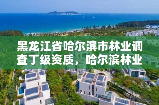 黑龙江省哈尔滨市林业调查丁级资质，哈尔滨林业局在哪