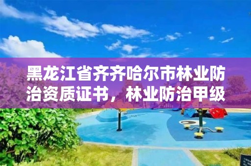 黑龙江省齐齐哈尔市林业防治资质证书，林业防治甲级资质证书