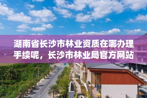 湖南省长沙市林业资质在哪办理手续呢，长沙市林业局官方网站