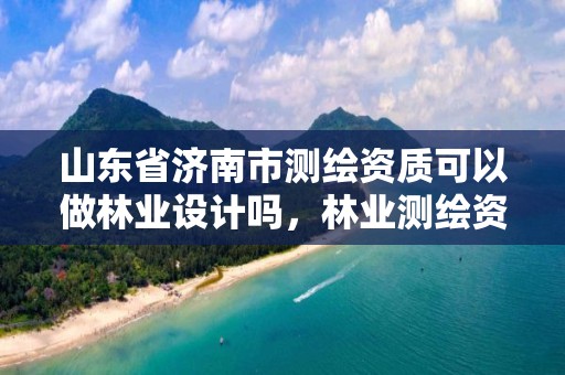 山东省济南市测绘资质可以做林业设计吗，林业测绘资质哪里办理