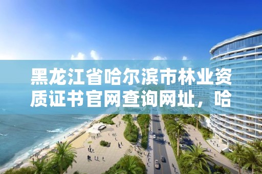 黑龙江省哈尔滨市林业资质证书官网查询网址，哈尔滨林业厅官网