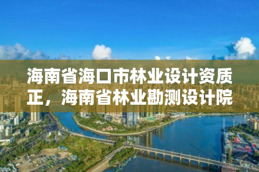 海南省海口市林业设计资质正，海南省林业勘测设计院