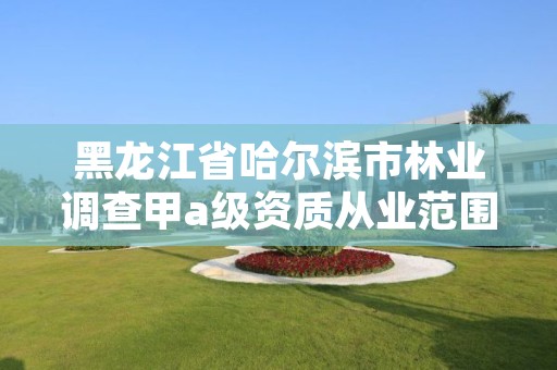 黑龙江省哈尔滨市林业调查甲a级资质从业范围，哈尔滨林业调查规划有限公司