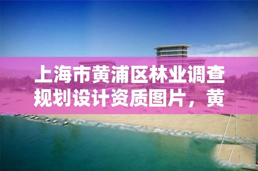 上海市黄浦区林业调查规划设计资质图片，黄浦区绿化局