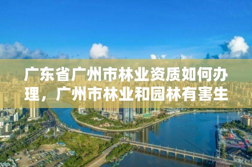 广东省广州市林业资质如何办理，广州市林业和园林有害生物防治检疫管理办公室