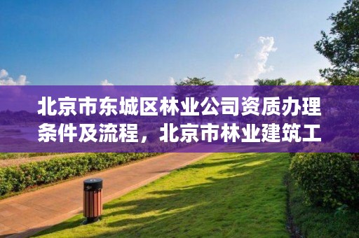 北京市东城区林业公司资质办理条件及流程，北京市林业建筑工程有限公司