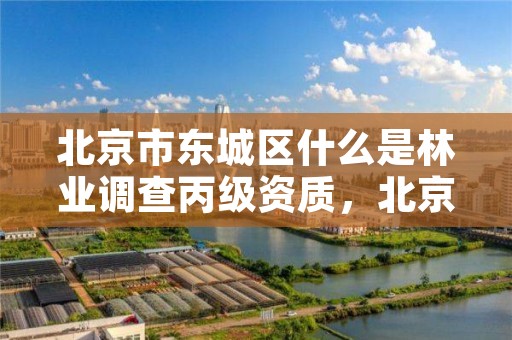 北京市东城区什么是林业调查丙级资质，北京市东城区什么是林业调查丙级资质的机构