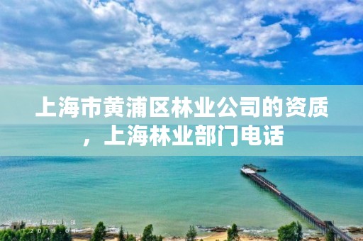 上海市黄浦区林业公司的资质，上海林业部门电话