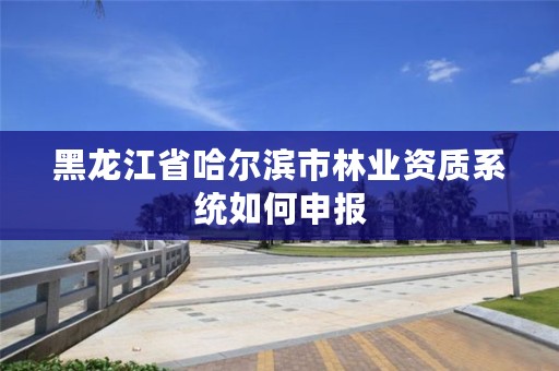 黑龙江省哈尔滨市林业资质系统如何申报