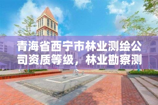 青海省西宁市林业测绘公司资质等级，林业勘察测绘资质