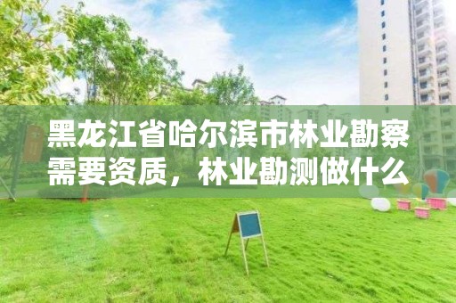 黑龙江省哈尔滨市林业勘察需要资质，林业勘测做什么