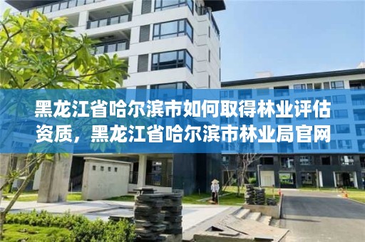 黑龙江省哈尔滨市如何取得林业评估资质，黑龙江省哈尔滨市林业局官网